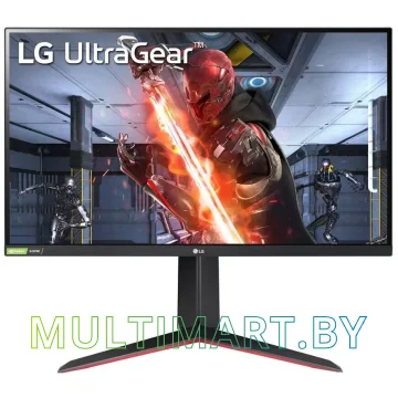 Монитор LG UltraGear 27GN65R-B